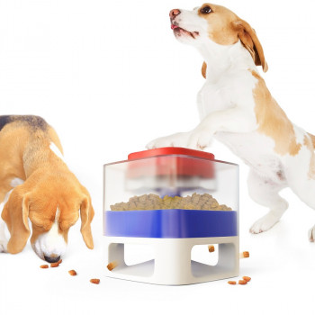 SQUARE FUN PET FEEDER-A D.BLUE 171X171X186mm