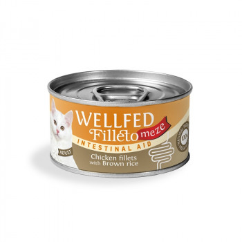 WELLFED FILLETO MEZE INTESTINAL AID 70gr