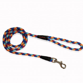 LEASH ROPE MULTICOLOR SPRING 10mm x 120cm