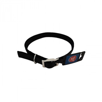 DOG COLLAR D/L METAL BUCKLE  25mm x 50cm  RED,BLUE,BLACK