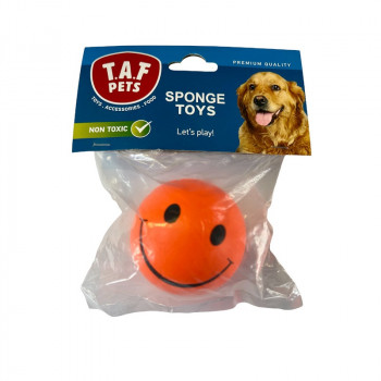 DOG TOY BALL-SPONGE